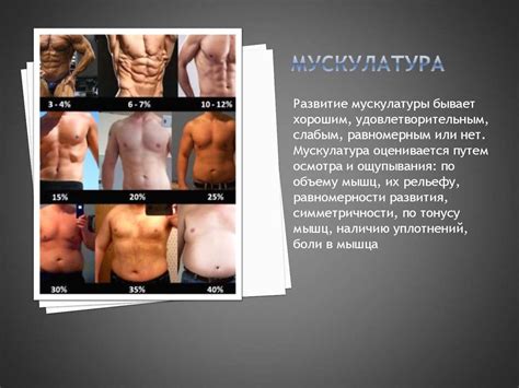 Определение и оценка физического развития - презентация онлайн