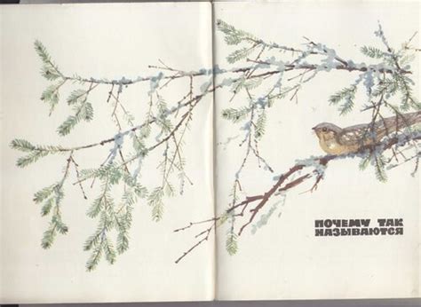 Ю.Дмитриев. Лесные загадки. Рис. А.Келейникова. 1967: kid_book_museum ...