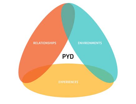 PYD TOOLKIT - Home