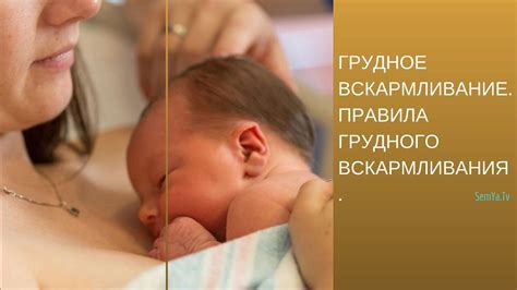 Грудное Вскармливание. Правила Грудного Вскармливания. Новорожденный ...