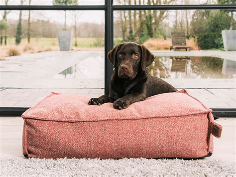Het Perfecte Hondenmatras: Een Balans tussen Stijl en Comfort