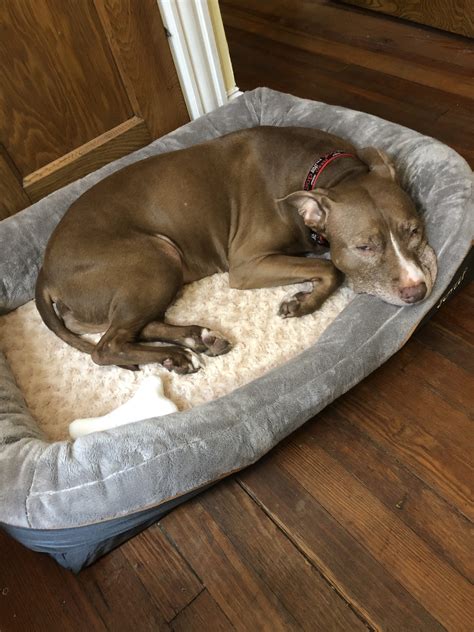 My Sweet Jade - Elise Schiller