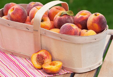 Can Dogs Eat Peaches? Yes, Your Dog Will Love this Juicy Treat! Plus 3