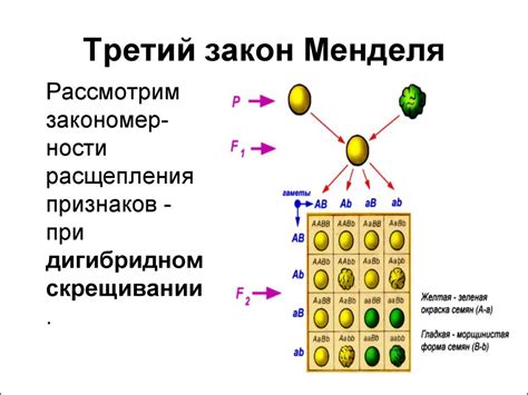 Генетика. Наследственность. Изменчивость - презентация онлайн