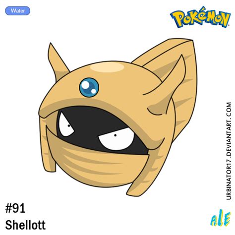 Shellott by Urbinator17 on DeviantArt