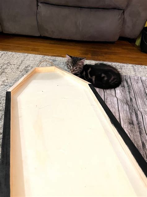 DIY Halloween Coffin