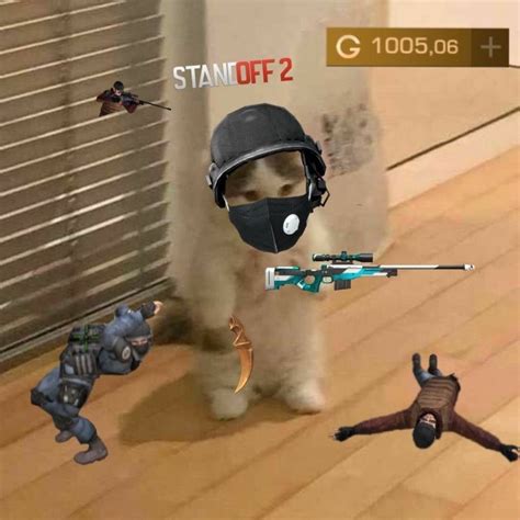 ДЛЯ Стендофферов in 2023 | Funny gif, Standoff, Tiger art