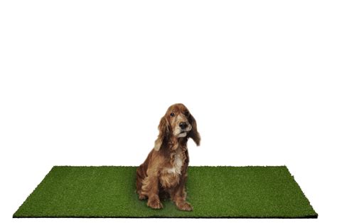 Garland Puppy Pee Pad 3 ft. x 4 ft. Easy Clean with Drainage Holes, Non