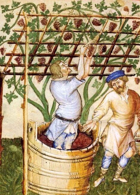 Vendange | Medieval paintings, History of wine, Grapes