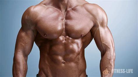 Blog de musculation, fitness et nutrition - Fitness LIfe