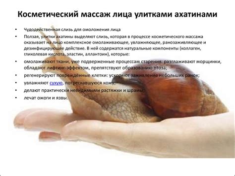 Виды массажа и их влияния на организм человека - презентация онлайн