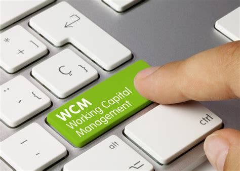 wcm images browse  stock  vectors  video adobe stock