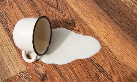 Coating Reactions To spills, Drips & Sprays