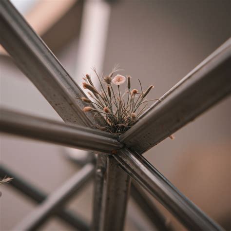 What Are the Energy Efficiency Differences between LED and Traditional