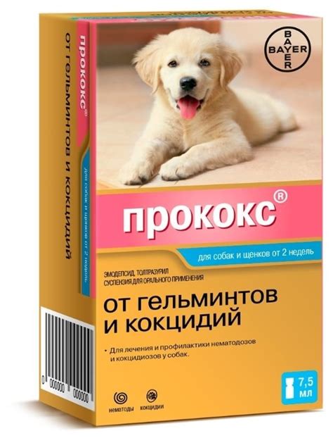 ПРОКОКС (PROCOX) суспензия для собак (7,5 мл) Bayer-Elanco - ZooExpress ...
