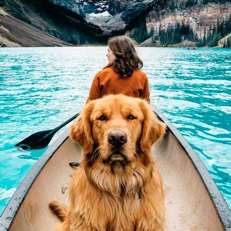 These Instagram Famous Dogs Will Make You Smile Even on a Bad Day ...