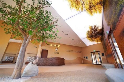 Dubai Desert Conservation Reserve opens new Visitor Centre - Arabian ...