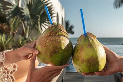 Кокосовая вода: что это, вкус, состав, польза и вред, как пить