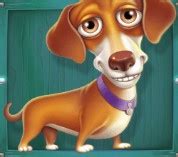 create meme dogs cute dogs pictures meme arsenalcom