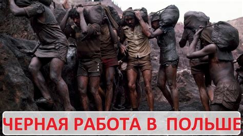 Черная работа в Польше. Украинцы и поляки - YouTube