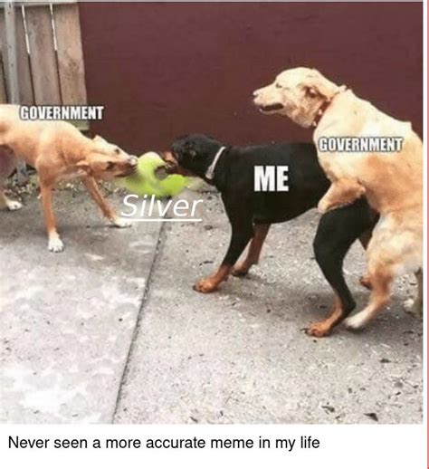 silver memes silver  silver forum