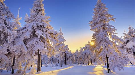Winter Wallpapers 1920x1080 - Wallpaper Cave