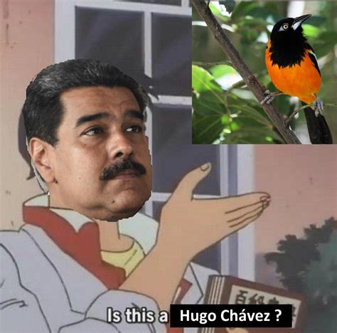 Venezuela : r/PoliticalHumor