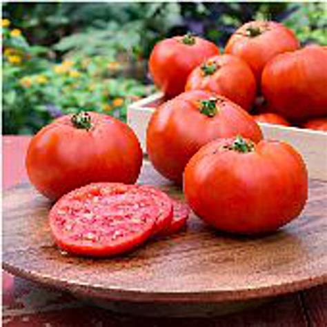 Better Boy Tomato Seeds - Etsy