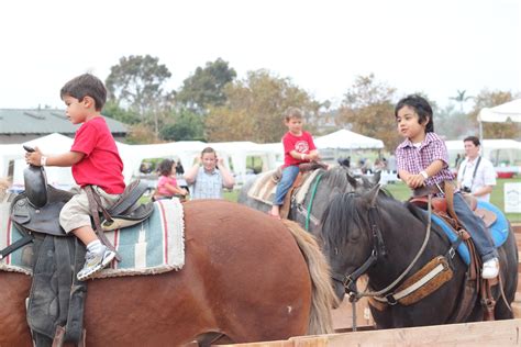 #Ponyrides are so fun for carnival themed events! | Pony rides, Party