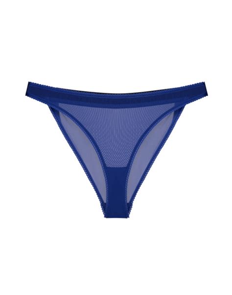 Transparent Sexy Panties, Sheer Mesh Underwear, Sheer Slip Panty, See