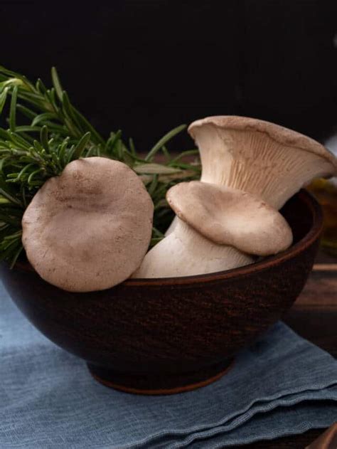 top health benefits  mushrooms healthifyme blog expert tips