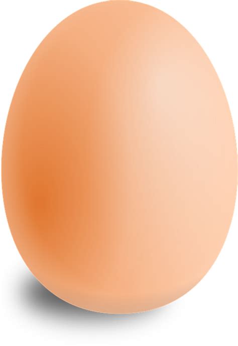 Uovo