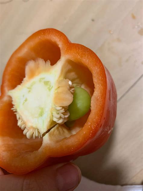 Was ist das grüne in der Paprika? (Essen)