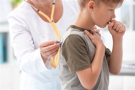 Cases of whooping cough confirmed in Kawartha Lakes | kawarthaNOW