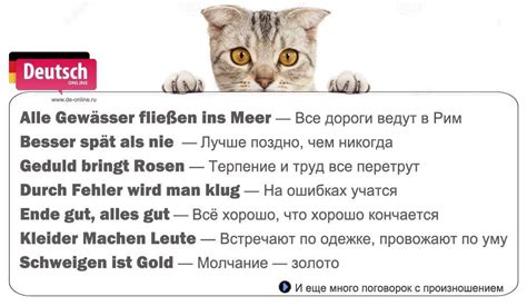 Матерные Пословицы И Поговорки - terprikaz