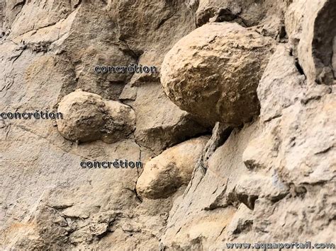 concretion definition  explications