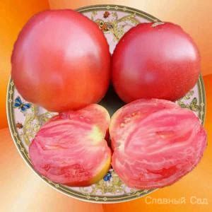 Томат Бабушкино Бычье Сердце. Крупные розовые сорта!