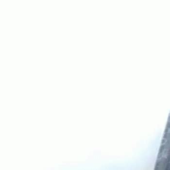 Nina GIF - Nina - Discover & Share GIFs