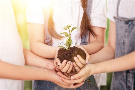 Creative premium beautiful protection of plants creative image_picture ...