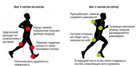 Бег: правильная техника, виды, польза и рекомендации