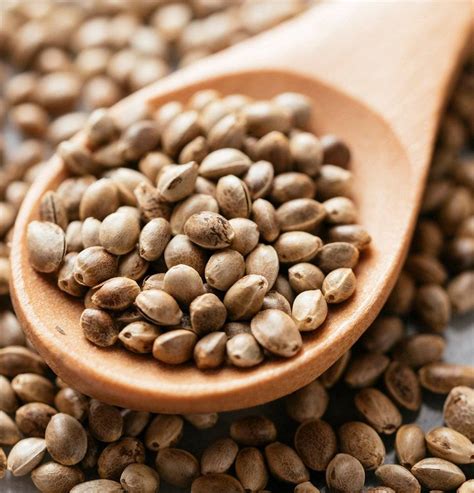 Here’s Why You Must Include Hemp Seeds in Your Diet