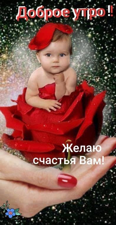 「Доброе утро」おしゃれまとめの人気アイデア｜Pinterest｜Галина Клименко