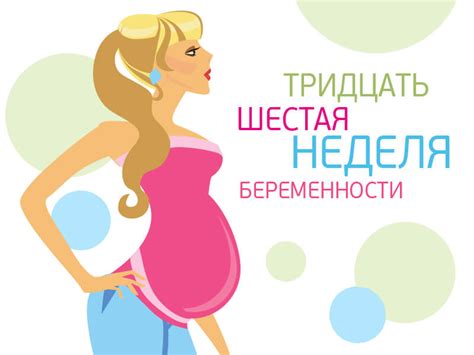 36 неделя беременности – ROCROS