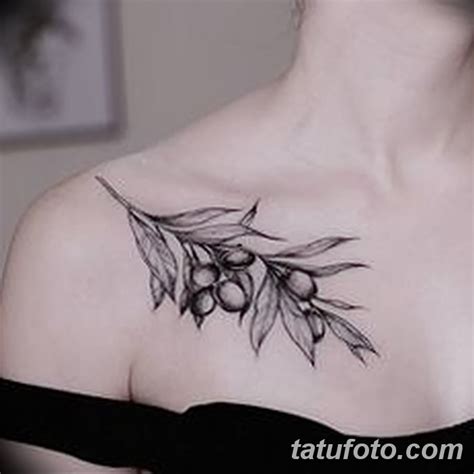 фото тату оливковая ветвь от 13.11.2017 №035 - olive branch tattoo ...