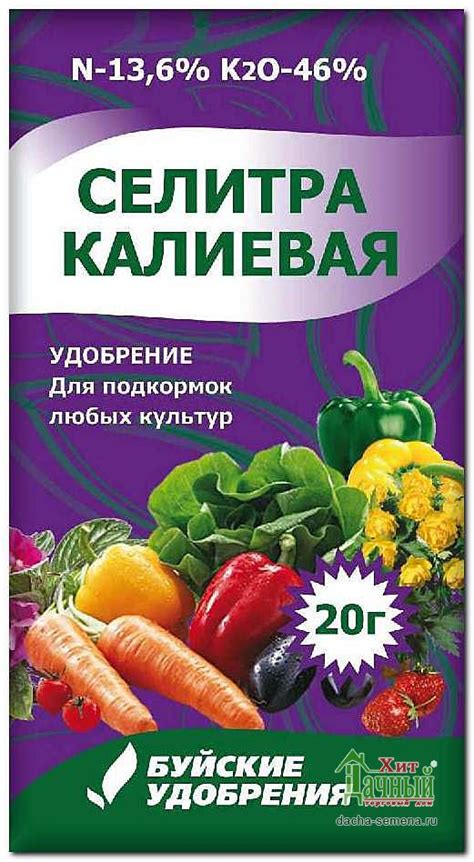 Почему желтеет рассада помидор, что делать?