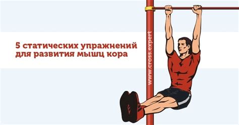 5 лучших статических упражнений для развития мышц кора