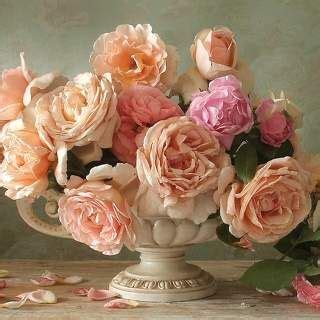 Pin by Virginiaconverio on Fotografia di frutta | Colorful flowers ...