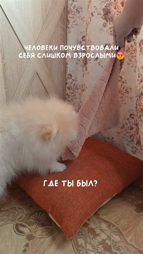 Тот самый милаш