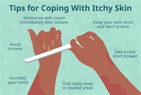 Itching All Over Body At Night Deals | cityofclovis.org