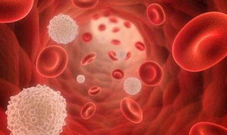 Definition of Leukopenia and Symptoms, Causes and Treatments | New ...